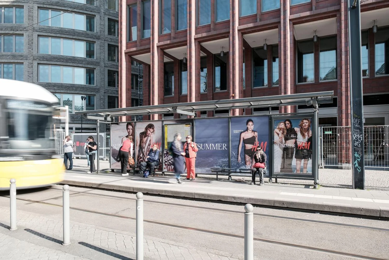 berlin-hundm-sommer-neu--1.webp