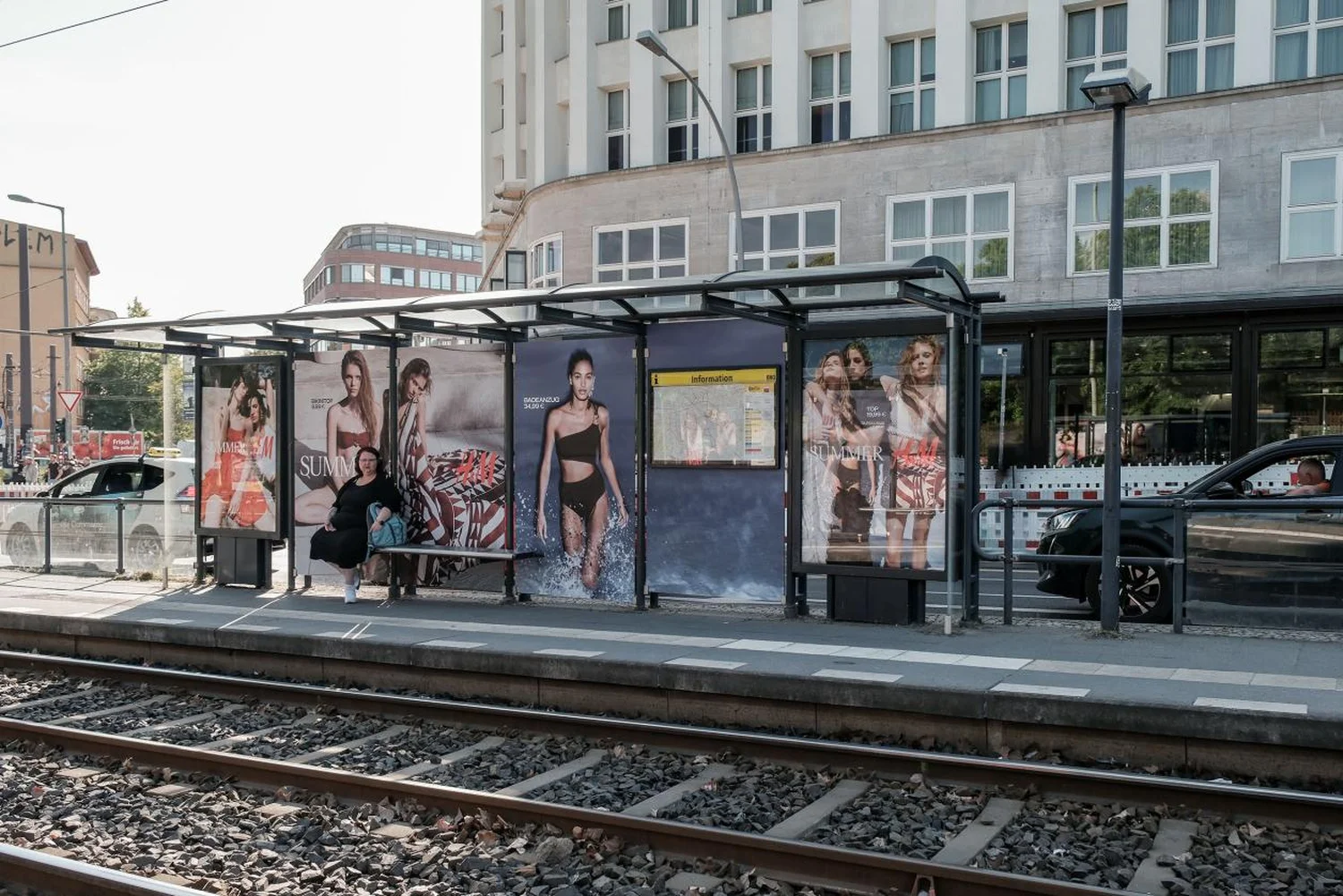 berlin-hundm-sommer-neu--2.webp
