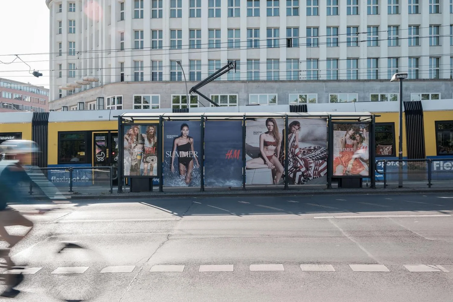 berlin-hundm-sommer-neu--3.webp