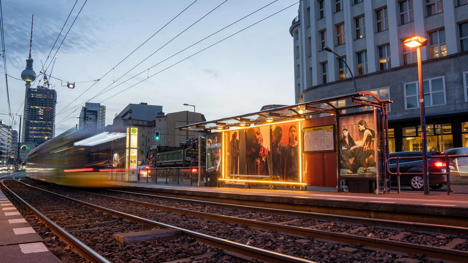 berlin-hundm-strahlend-03.webp