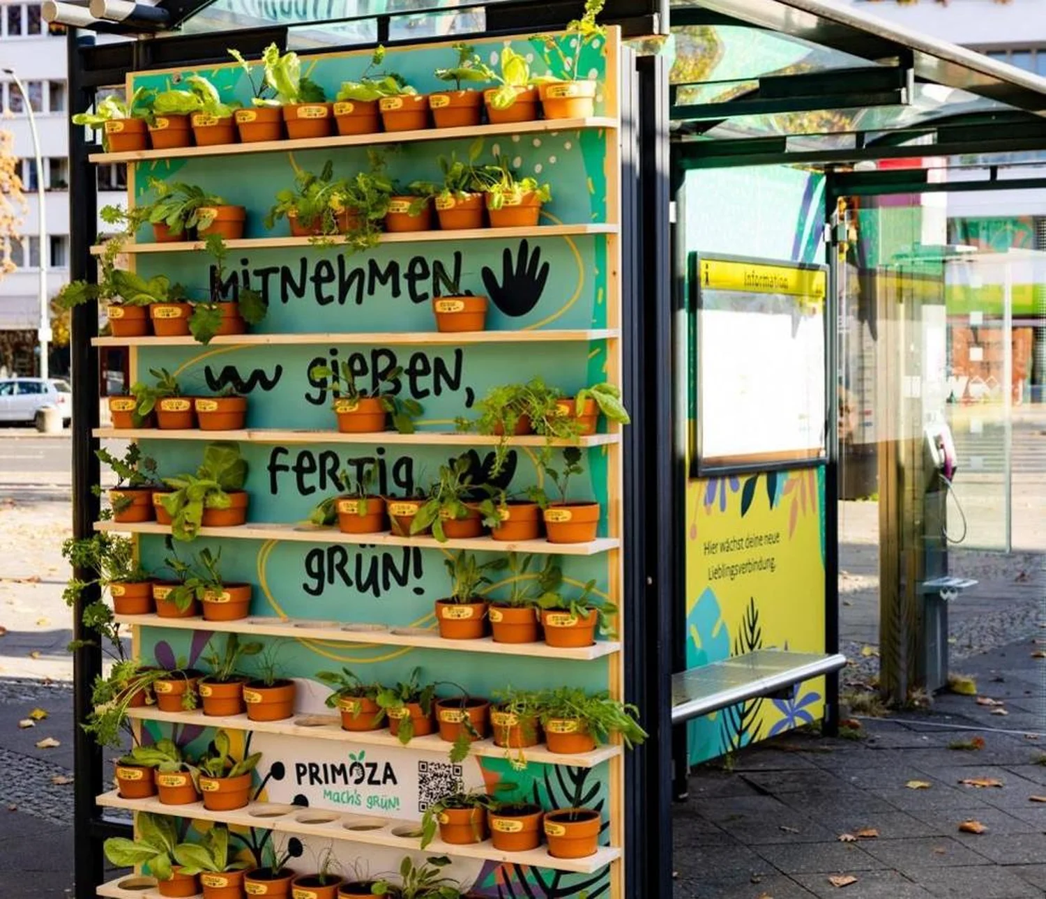 berlin-primoza-pflanzentogo.webp