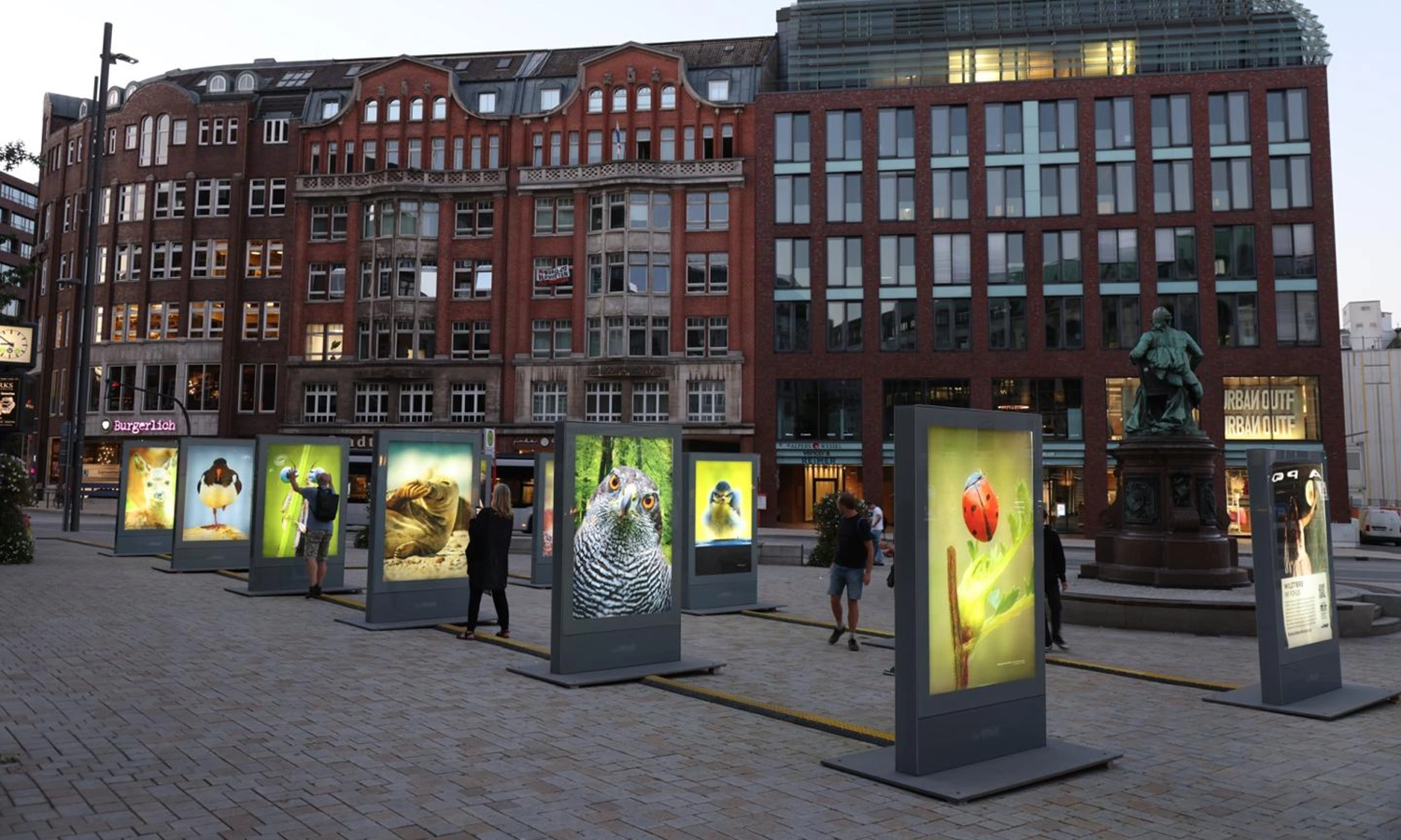 outdoor-galerie-tierfotografie-gänsemarkt-hamburg-dämmerung.webp